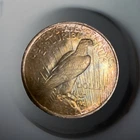 1923 Peace Silver Dollar Toned Original Album Toning Eye Appeal 90%
