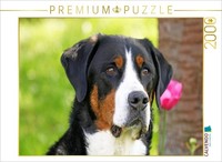 Calvendo Puzzle Portrait Of The Greater Swiss Mountain Dog | 2000 Pieces, Finish