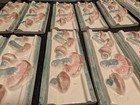 Vintage 1980 Hand Painted Wall Tiles 6x2 3/4" Set of 12 Mushroom Italian Ceramic — photo 6