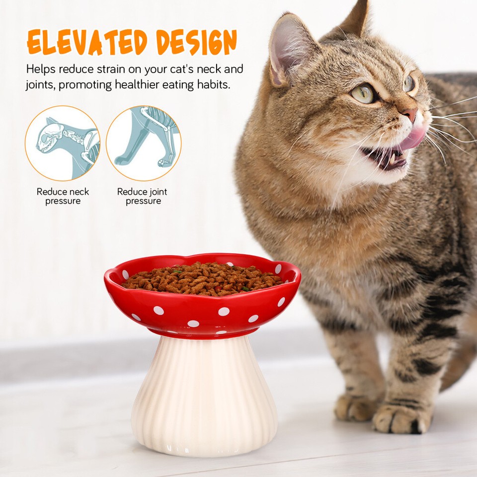 Cat Feeding Bowl Raised Cat Bowl Ceramic Pet Bowl Wide Cat Bowl Cat