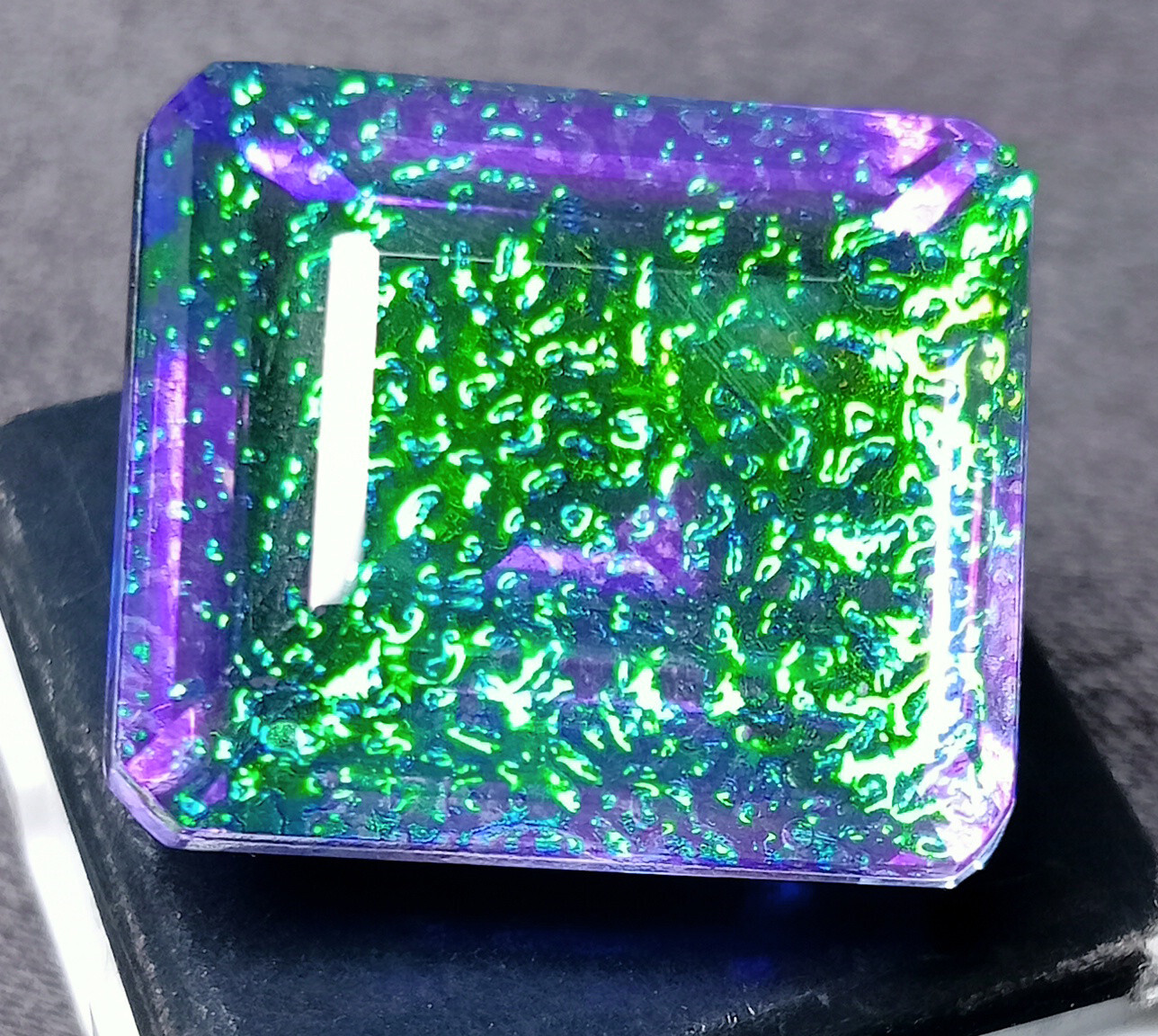 Picture 3 of 14