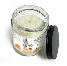 9oz Pet Odor Eliminator Deodorizer Candle, Long-Lasting Scented, Non Vanilla