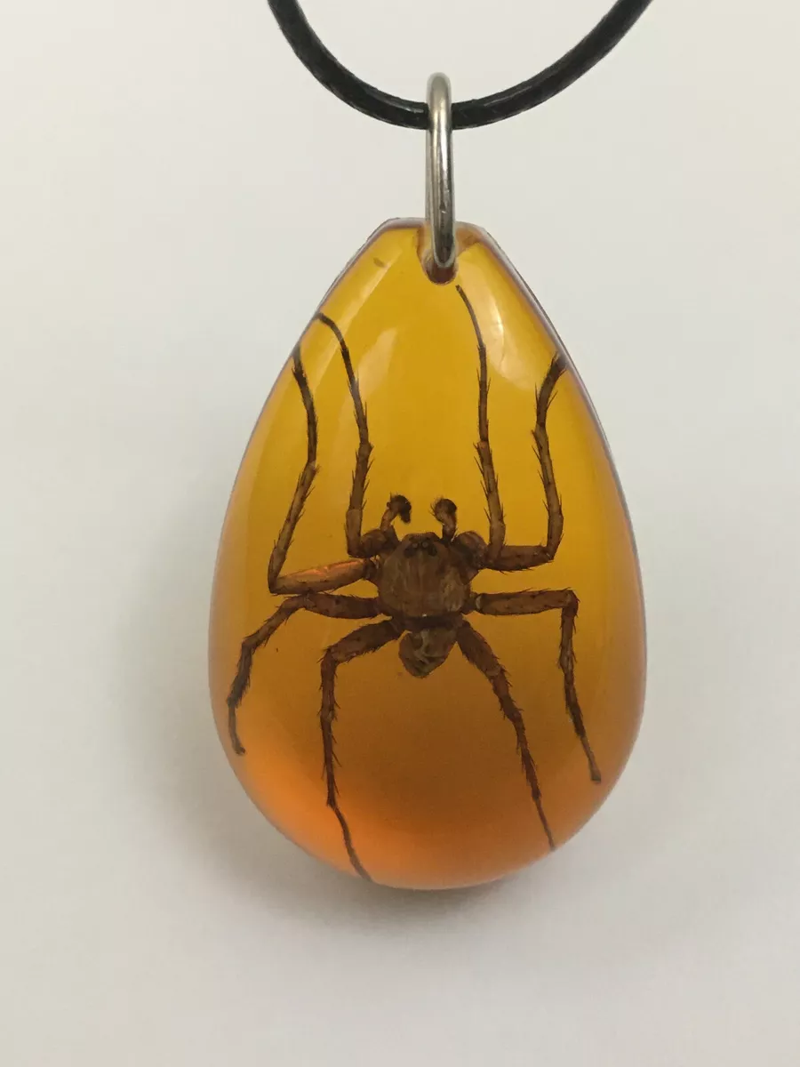 Amber necklace 2024 with insect inside