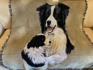 border collie throw blanket