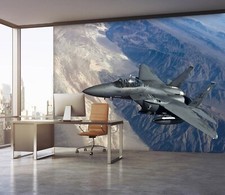 3D Gray Fighter ZHUB864 Wallpaper Wall Mural Removable Self-adhesive Ann