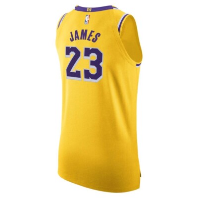 Nike LeBron James Lakers Jersey Icon Stitched AA7265-735 Mens Size