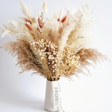 Dried Flower Bouquet No Vase  17'' Mini Boho Floral Arrangement - Pampas, ...