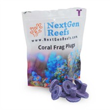 NextGen Ceramic Coral Frag Plugs 1" CORALLINE PURPLE 25 pc - Oceans Wonders
