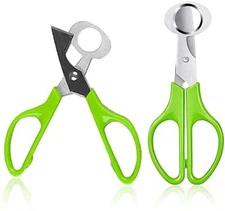 100 PACK GREEN STAINLESS STEEL QUAIL EGG SCISSOR OPENER CRACKER SHELL