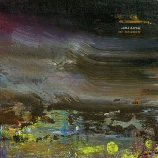 Roy Montgomery Audiotherapy (CD) Album