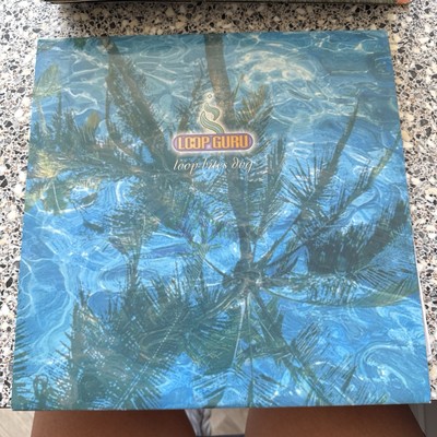 Rare Vinyl Loop Guru Loop Bites Dog 12  Double LP First Press MEDIA NEAR MINT 