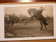Rppc,Pendelton,OR,Bowman Photo,Cowboy,Rodeo,"Terry on Angel".Pendelton Round Up.