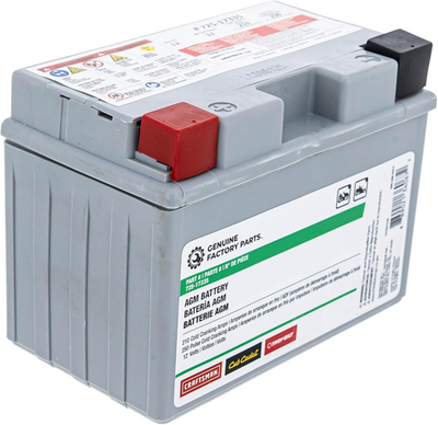#ad CUB CADET 490 280 F017 Battery 210Cca 11AHR Ultima ZT1 ZT2 ZTS1 ZTS2 ZTX4 ZTX5 Z $102.47