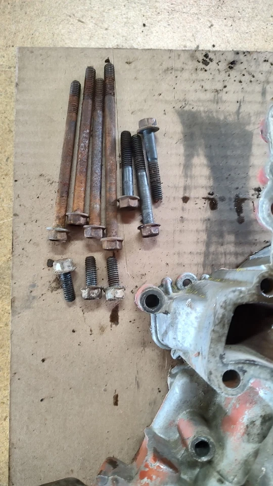 Cubierta de distribución Buick 350 1230344 Skylark GS 350 Sport Wagon LeSabre Foto 3 de 4