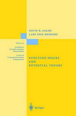 Function Spaces and Potential Theory (Grundlehren der mathematischen Wissenscha
