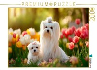 Calvendo Puzzle Maltese - An Enchanting Spring Moment | 2000 Pieces, Finished Si