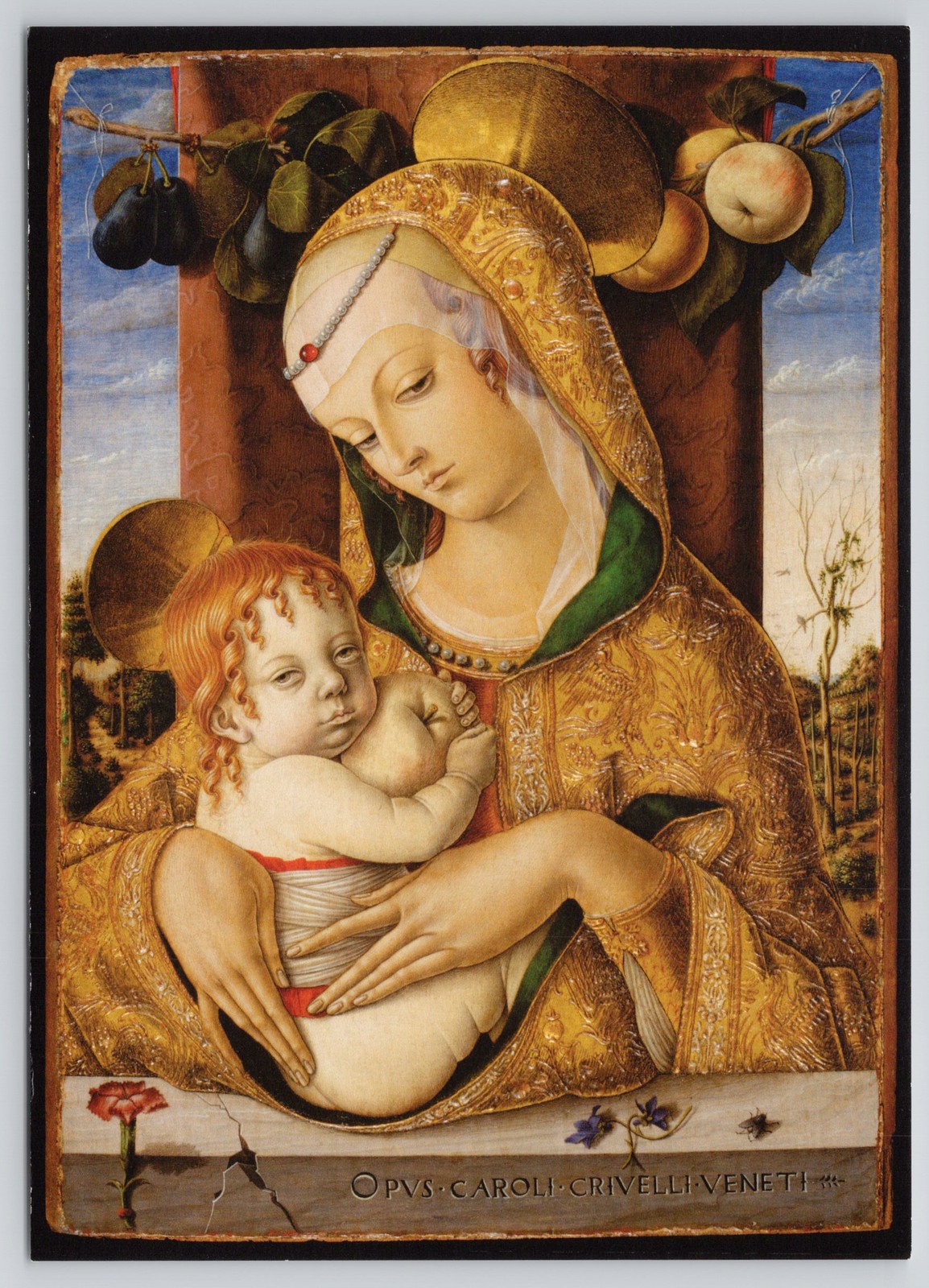 Virgin Child Carolo Crivelli Ascoli Piceno Italy Victoria Albert Museum Postcard