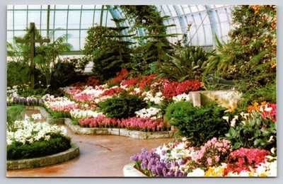 Postcard Krohn Conservatory, Eden Park, Cincinnati Ohio - Easter Display Flowers
