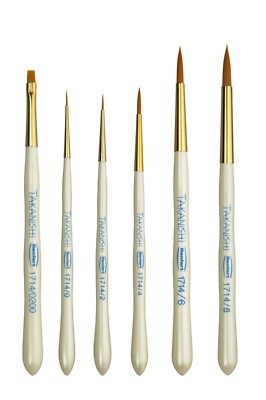 RENFERT Takanıshı brushes (6 pcs)