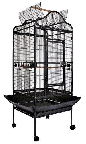 caesar parrot cage