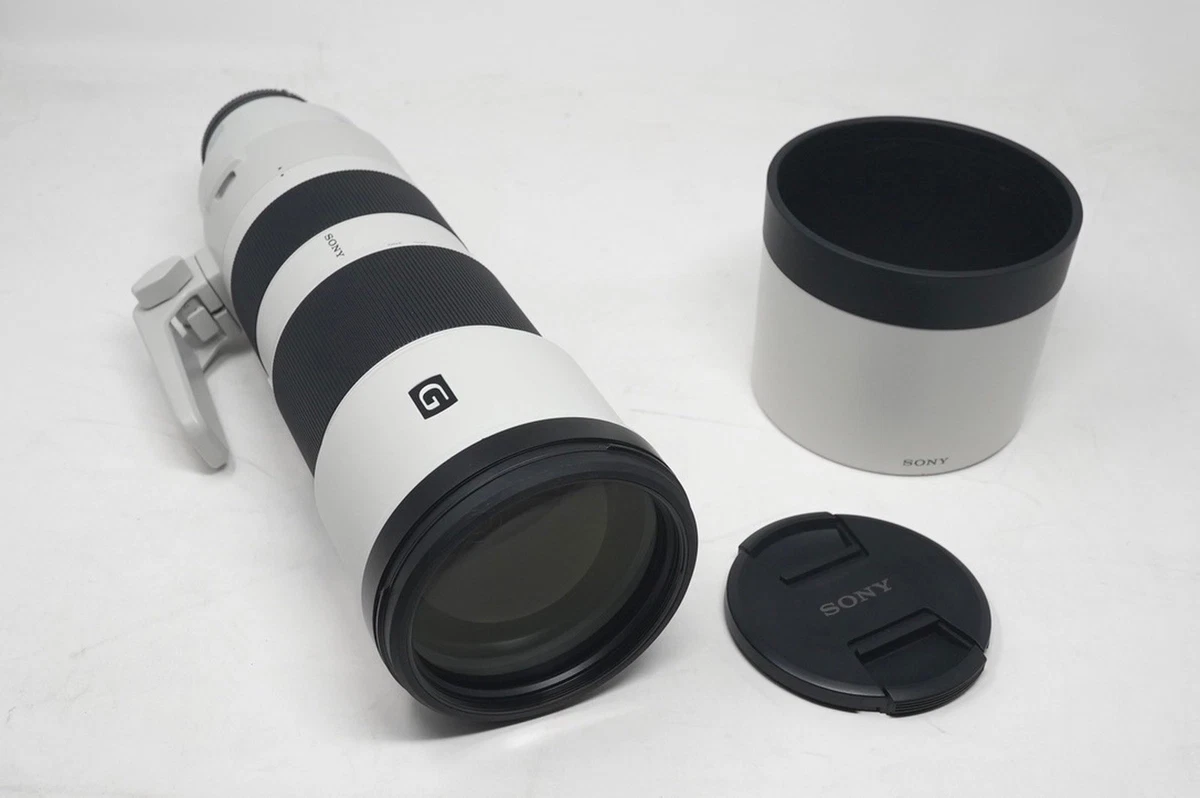 Sony 200-600mm Focal Camera Lenses for sale | eBay
