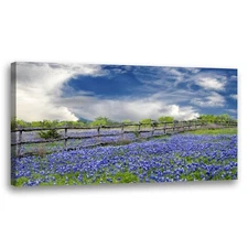 Large Framed Wall Art Ready to Hang 20" x 40" clouds over texas bluebonnets l...