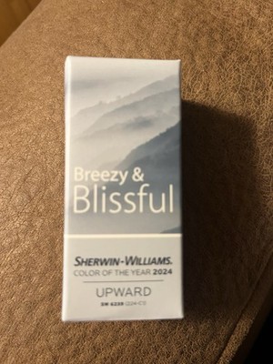 New Sherwin Williams Nail Polish Color Of The Year Upward SW 6239