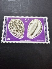 TIMBRE FRANCE COLONIE AFARS ET ISSAS COQUILLAGES N°443 NEUF ** LUXE MNH 1977