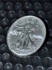 2015 American Eagle Silver Dollar. 1 Troy oz .999 Fine, Pure Silver.