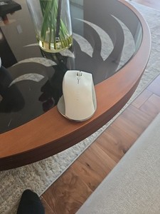 Razer Pro Click Mouse
