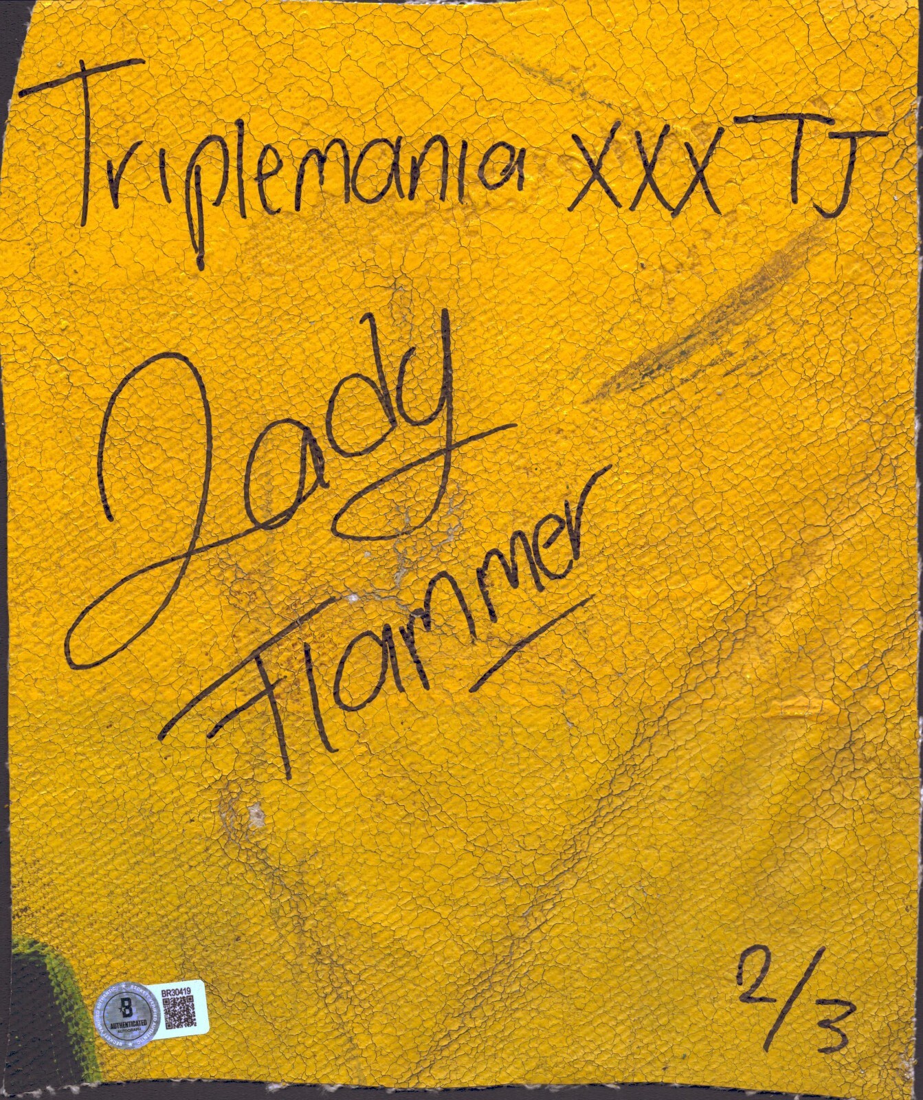 Foto 1 di 24