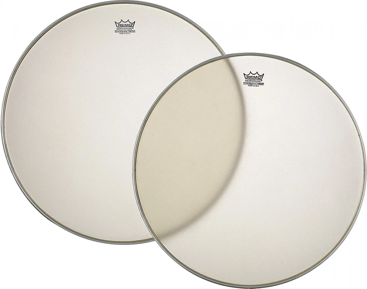 Remo 2024 renaissance 22