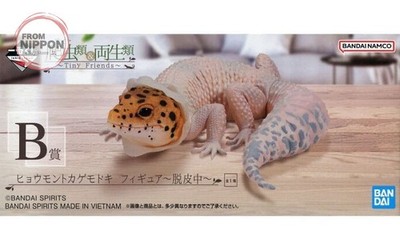 Leopardengecko ~ Häutung ~ ''Ichiban Kuji Reptilien & Amphibien ~Tiny Friends~...