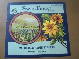 Old Vintage SWEET TREAT Orange Crate LABEL Santiago Orange Growers ORANGE CA