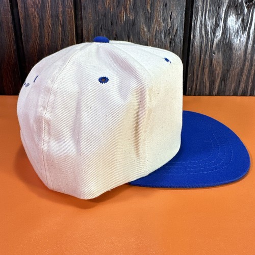 Vintage Letter A Arduan Pipecuronium bromide for Injection Hat Cap Snapback 90s - Picture 7 of 13