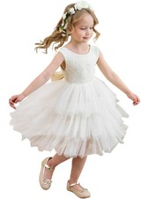 Flower Girl Dress Baby Girls V-Back Lace Tulle Tutu Dress for Wedding Communi...