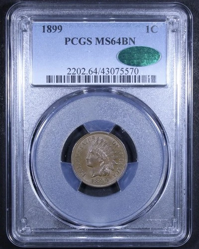 1899 Indian Head Cent - 1c PCGS MS64 BN CAC ✅ - Brown - Great Coin!
