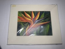 Bird of Paradise Flower Floral Watercolor Print by Patty Hansen Signed Matted