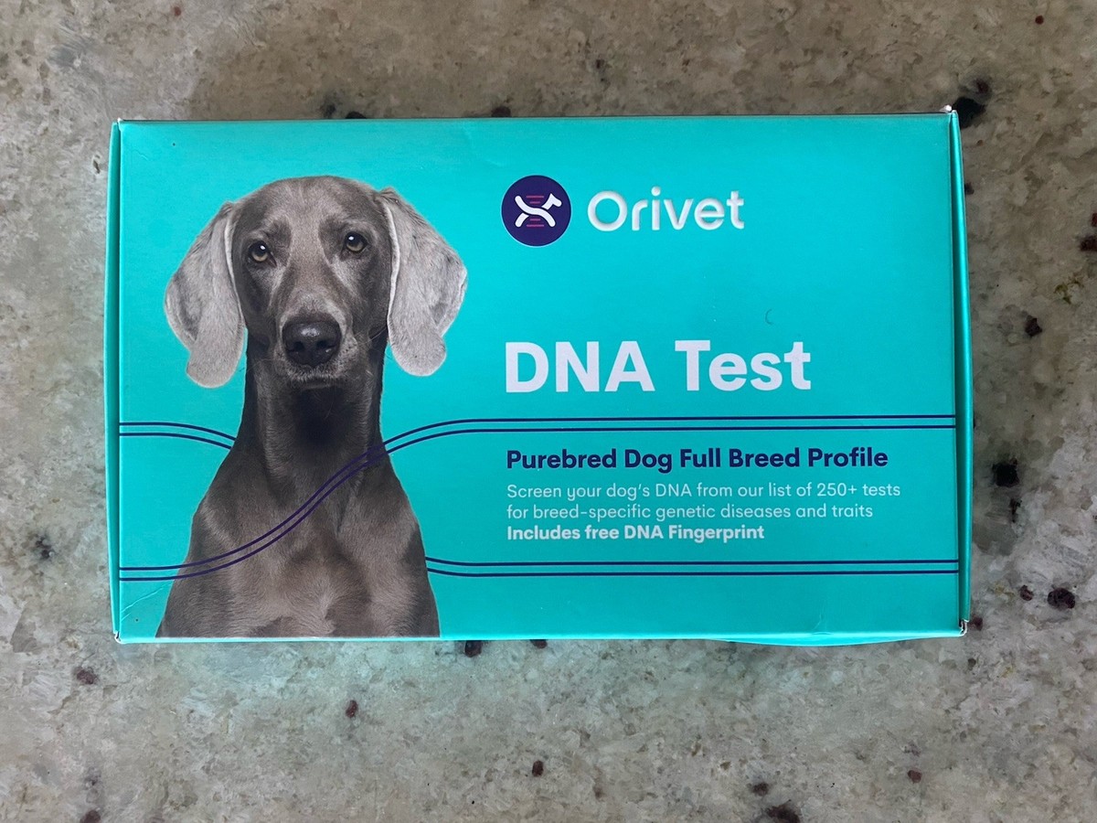 Orivet Dog Breed Blood Test Orivet DNA Test Purebred Dog Full