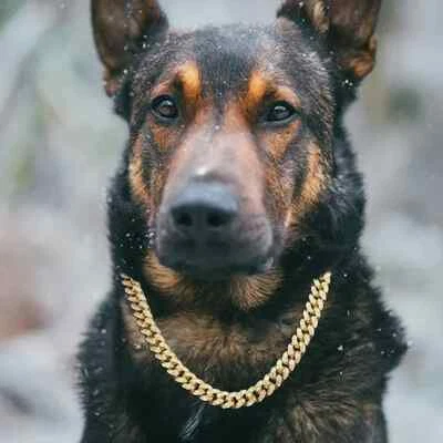 MAXBLING81 Pet Dog Cat Gold Plated Simulated Diamond 16" ~ 24" Iced Cuban Chain Necklace