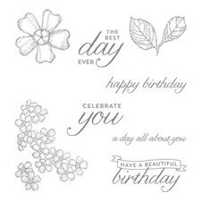 Stampin Up BIRTHDAY BLOSSOMS Celebrate Sentiments Flowers Leaves Best Day Ever