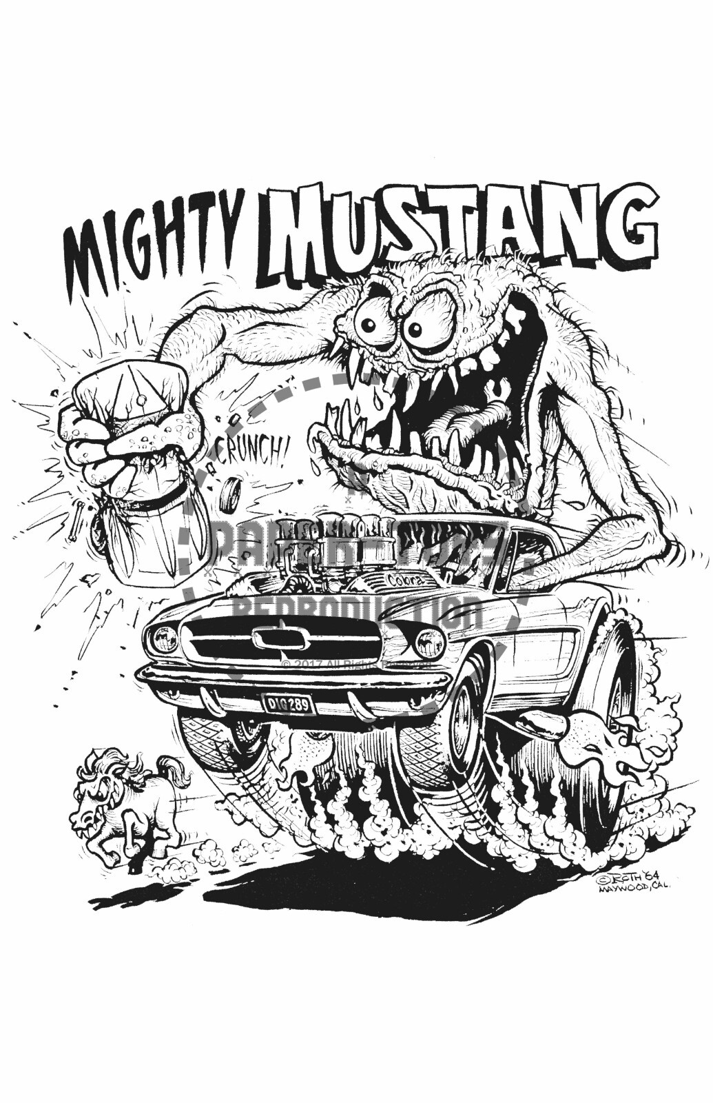 1965 - MIGHTY MUSTANG - ED 