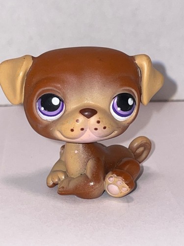 Littlest Pet Shop Authentic CHOICE Over 250 To Pick From! Combine Shipping! EUC - Picture 133 of 629