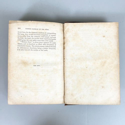 Summer Rambles in The West, Elizabeth Fries Ellet 1853 1st Ed Leather Bound HC - Foto 13 di 16