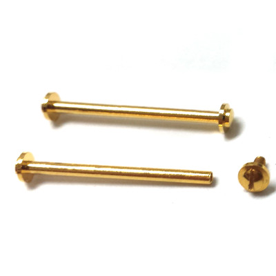 Pair Watch Strap Bars Screws Fits Gucci Rado Band Lugs Pins Gold Silver Color