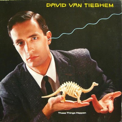 David Van Tieghem - These Things Happen (LP, Album) 1984 (NM or M-|G+)