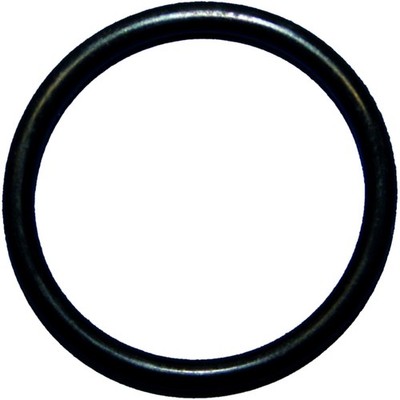 O-Ring Filterkappe unten für AVL Abgastester - Gummidichtung schwarz