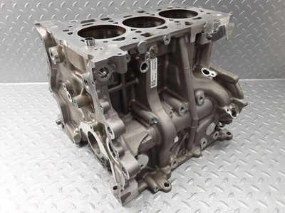 BMW X1 F48 F49 2022 Benzin 100kW Motorblock B38A15A AGR22849