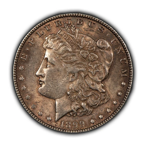 1899 $1 Morgan Silver Dollar - AU/UNC Key Date - Stg Luster w Patina - SKU-B4242