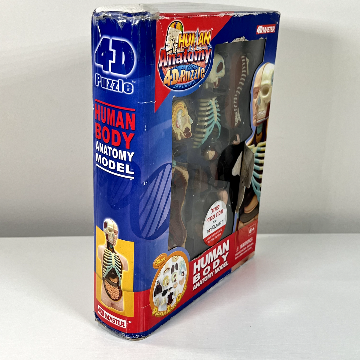 4D Master Human Anatomy Puzzle Model - Detailed Educational